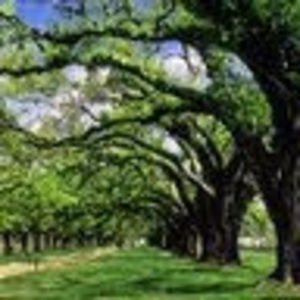 Meet your Posher, Samira